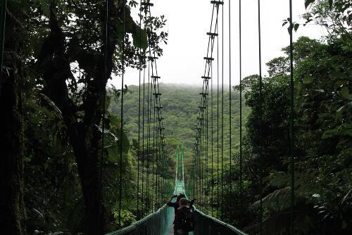 reserva-biologica-monteverde-en-costa-rica