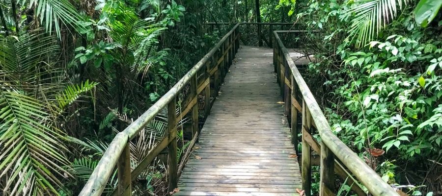 parques nacionales Jaco Costa Rica